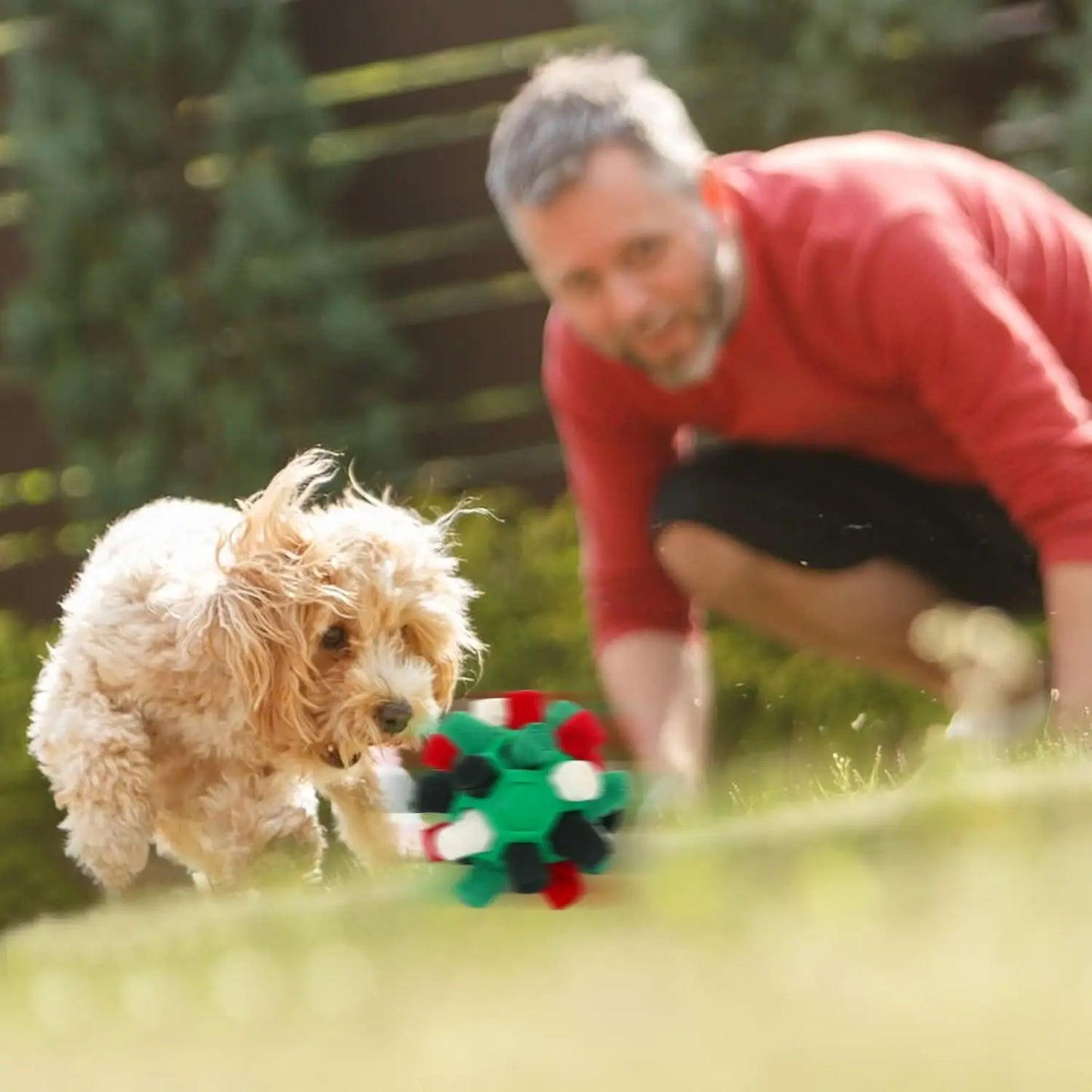 Dog Toy Puzzle -- Snuffle Ball (Encourages Foraging Skills!)