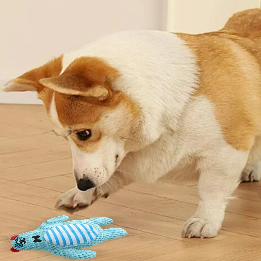Squeaky Plush Toy Assortment
