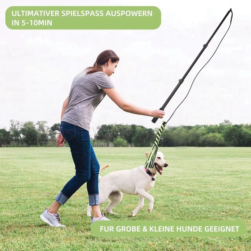 Interactive Extendable Chasing Chew Rope! FUN!!!