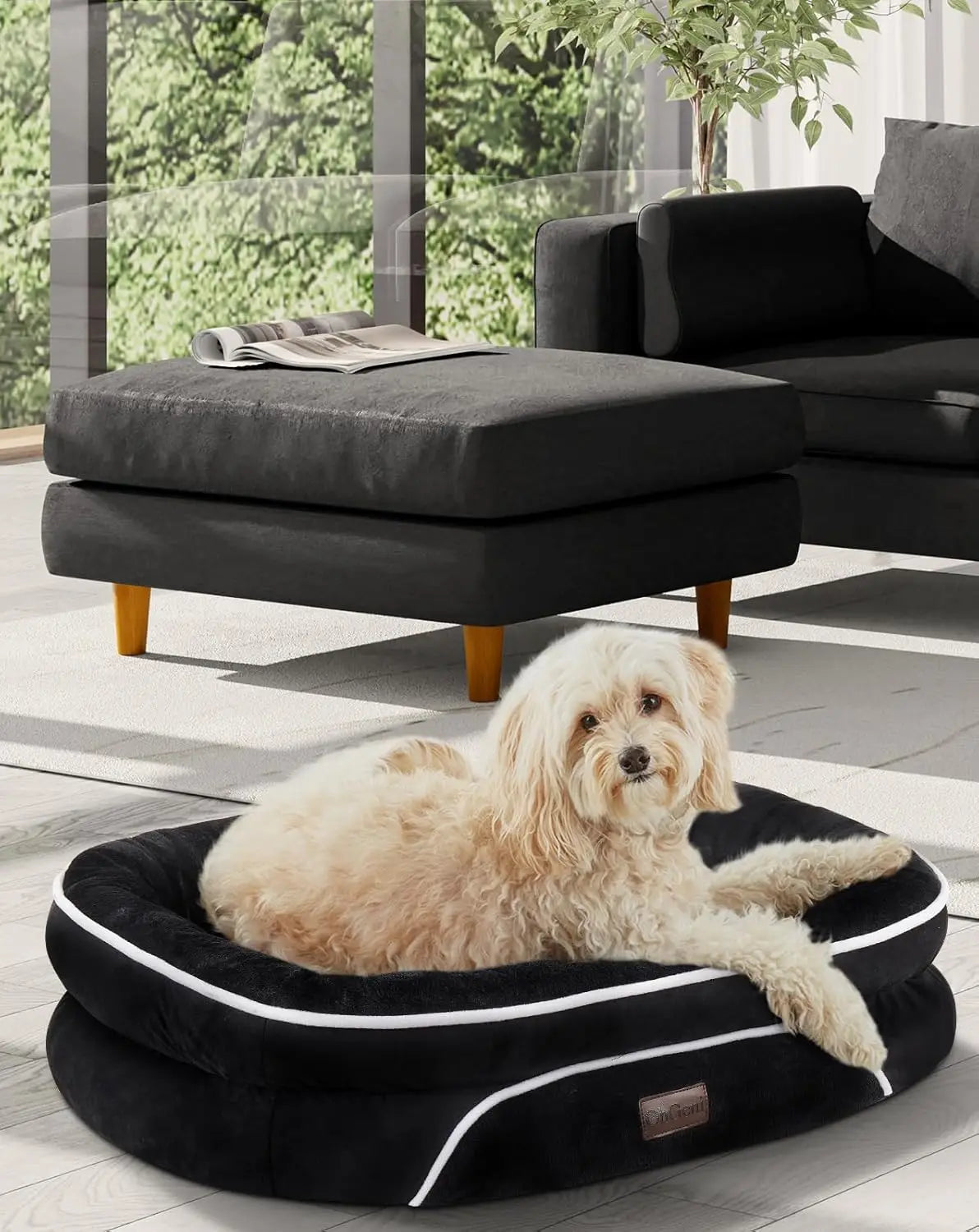 Orthopedic Pet Bed with Tear-Resistant Fabric