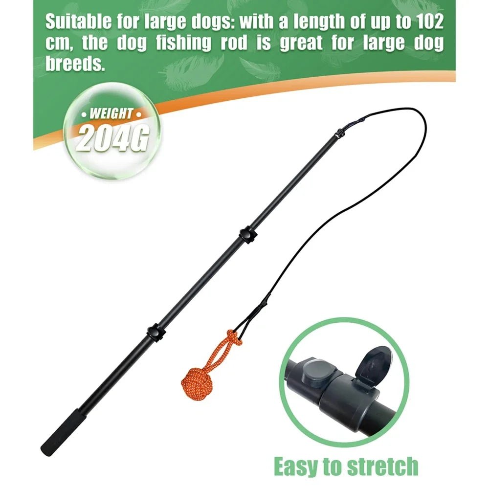 Interactive Extendable Chasing Chew Rope! FUN!!!