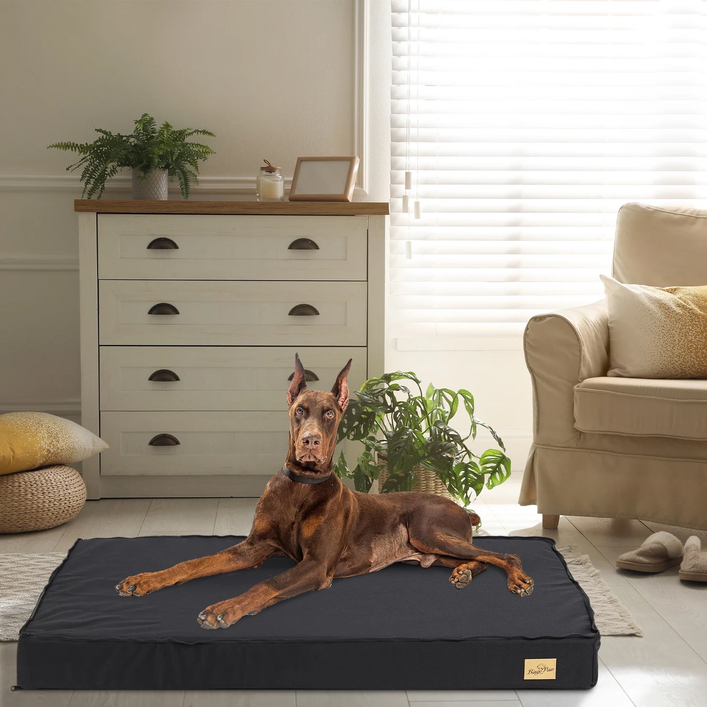 Orthopedic Foam Cushion for Large Dog Crate