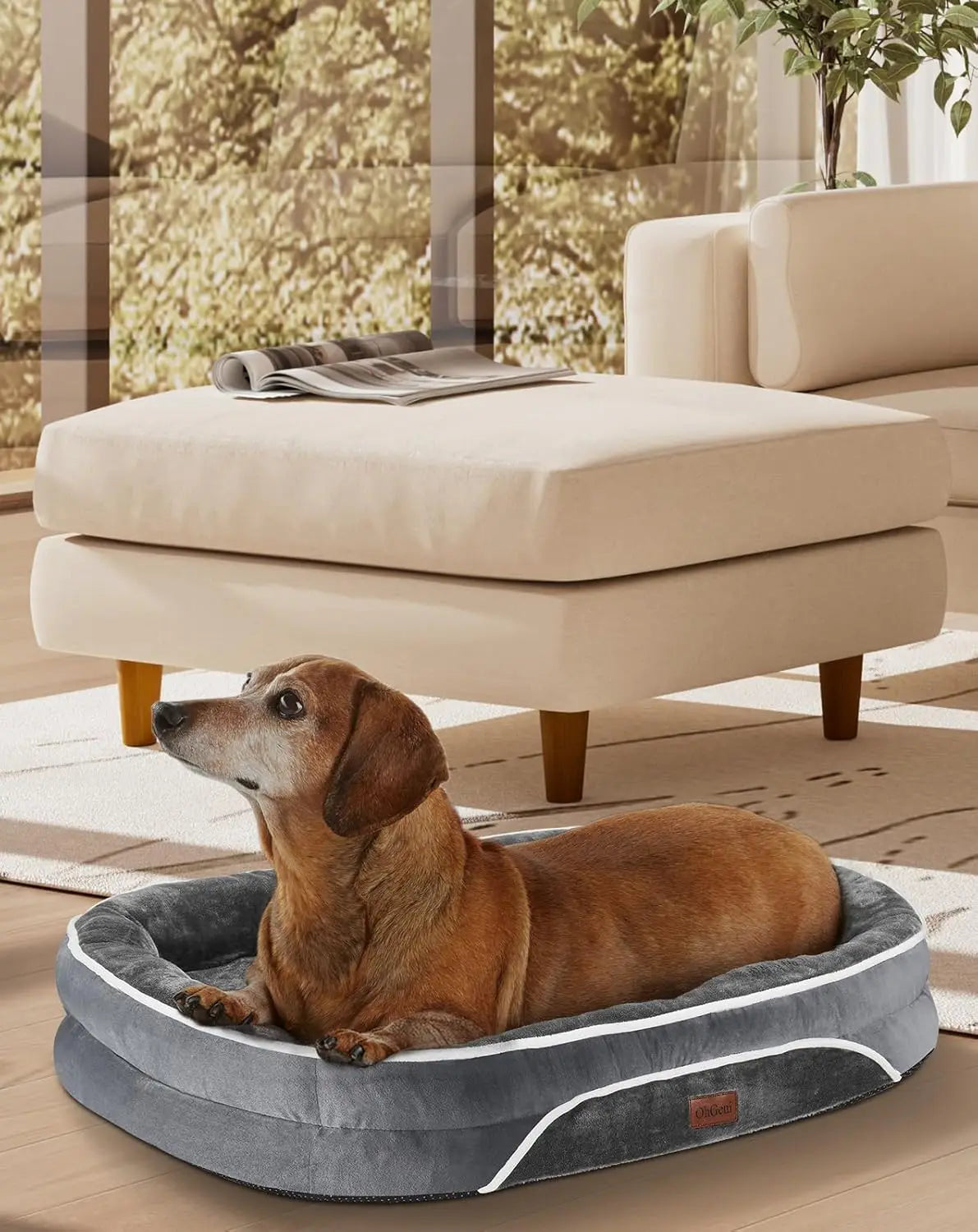Orthopedic Pet Bed with Tear-Resistant Fabric