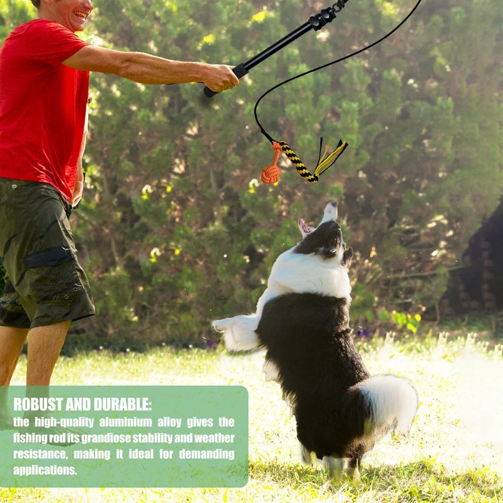 Interactive Extendable Chasing Chew Rope! FUN!!!