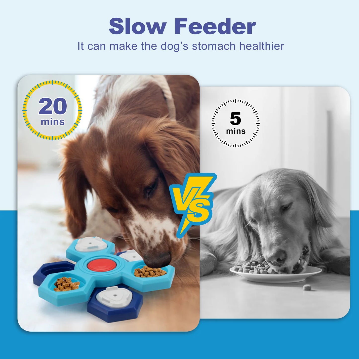 Four-layer Foraging Pet Feeder--Educational Training Toy