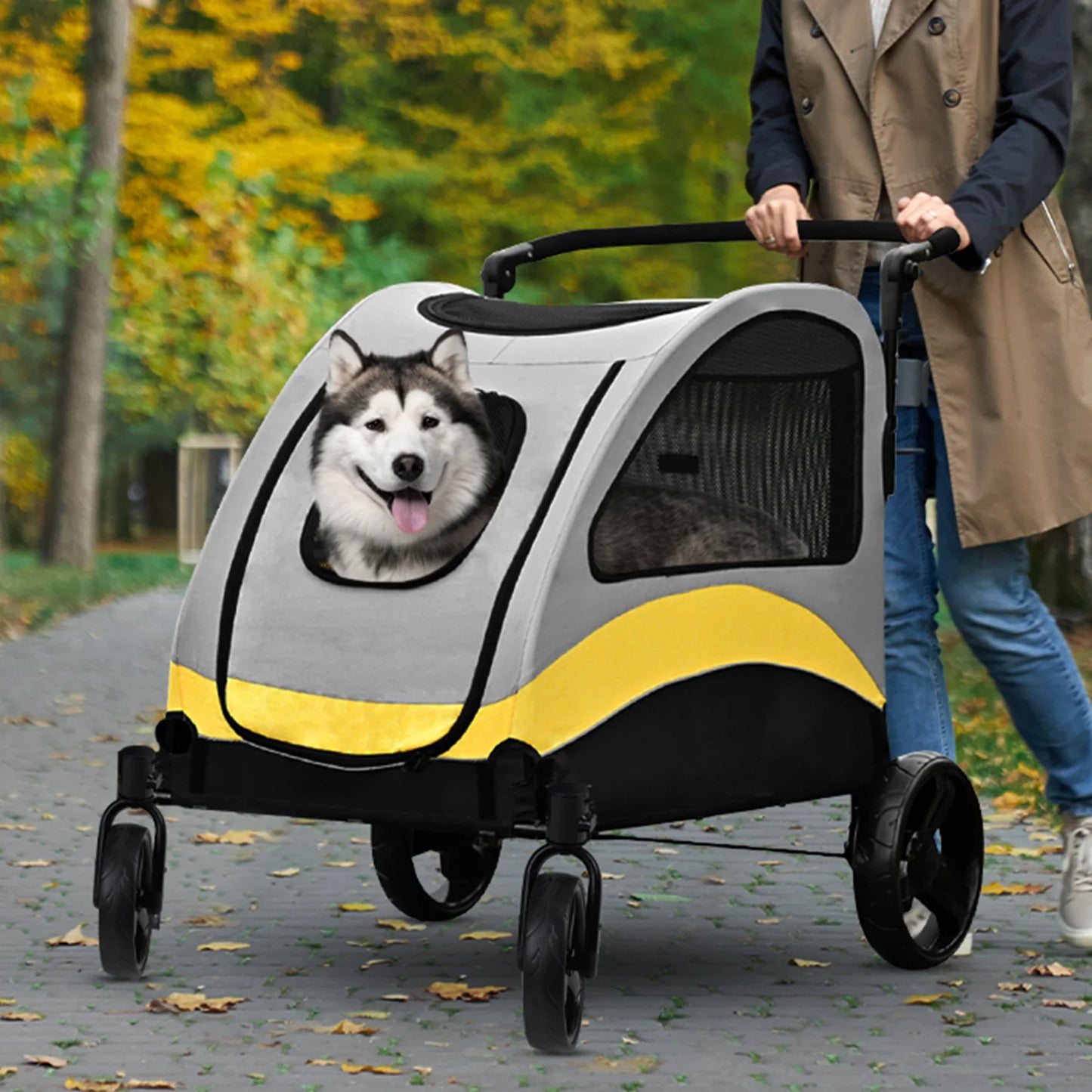 Extra Large 4-Wheeled Buggy