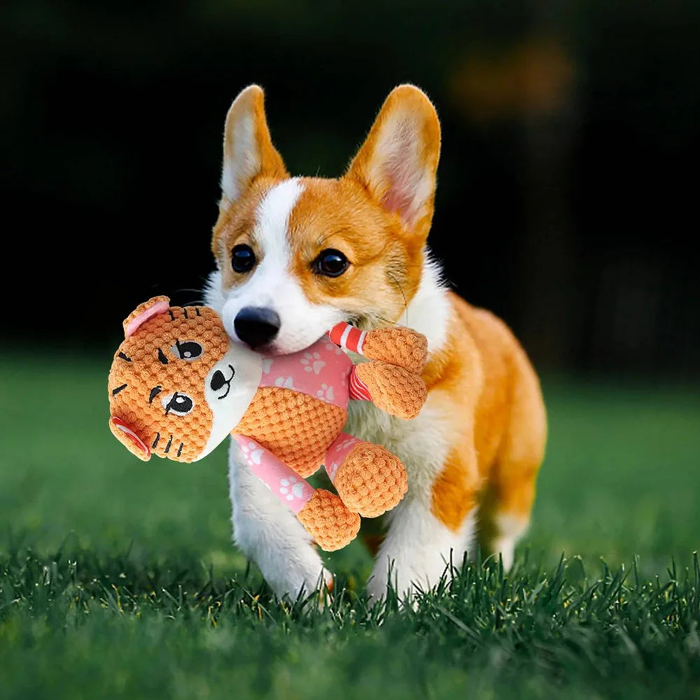 Squeaky Plush Toy Assortment