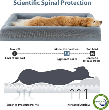 Large Orthopedic Dog Bed