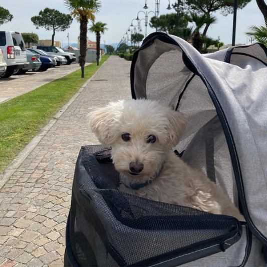 Portable Pet Trolley