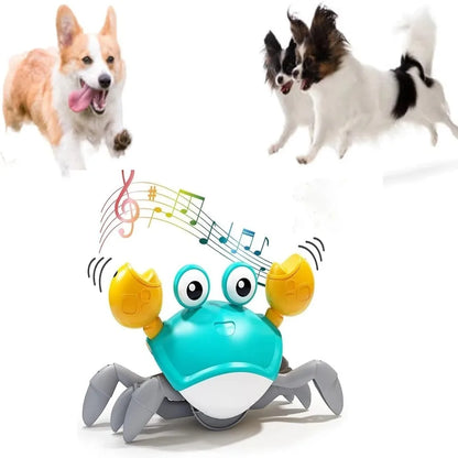 Dancing Crab Dog Toy with Musical Sounds