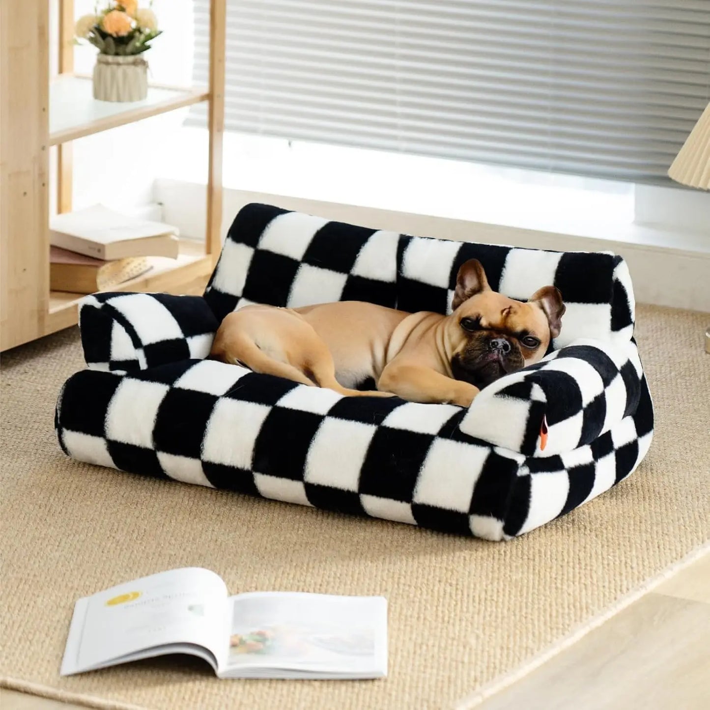 Pet Couch and Washable Bed