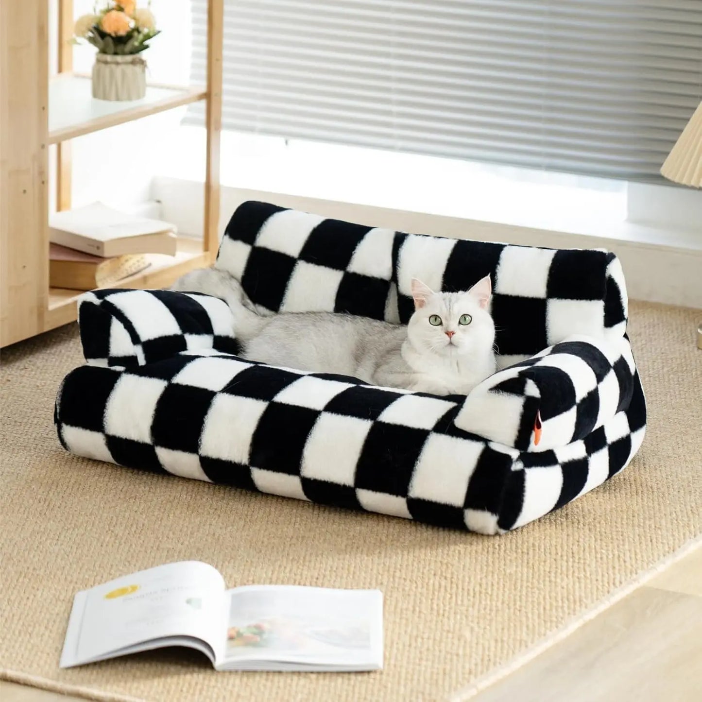 Pet Couch and Washable Bed