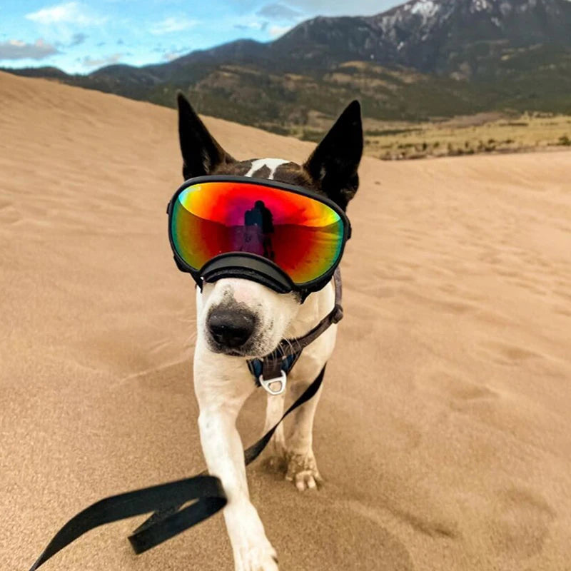 Dog Goggles -- Anti-UV Sunglasses