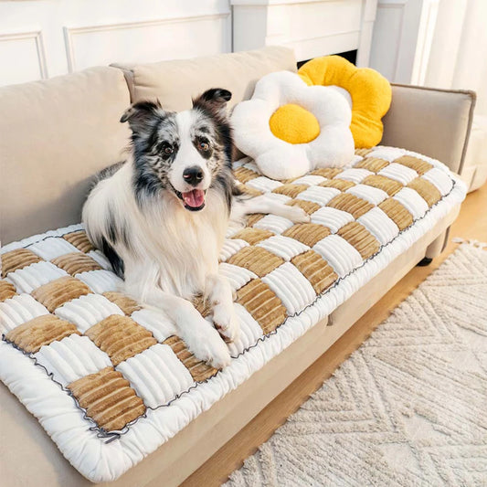 Scratchable Couch Cover Protector