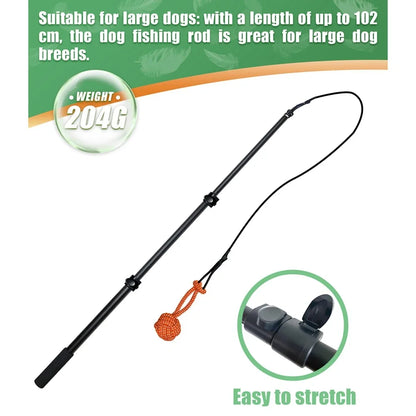 Interactive Extendable Chasing Chew Rope!  FUN!!!