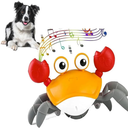 Dancing Crab Dog Toy with Musical Sounds