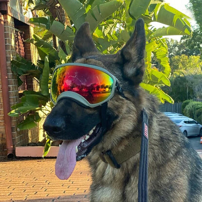 Dog Goggles -- Anti-UV Sunglasses