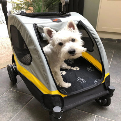 Extra Large 4-Wheeled Buggy