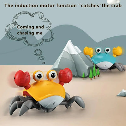Dancing Crab Dog Toy with Musical Sounds