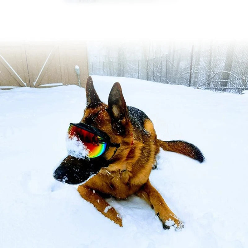 Dog Goggles -- Anti-UV Sunglasses