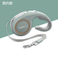 Retractable Traction Leash