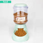 Pet Feeder with Automatic Dispenser