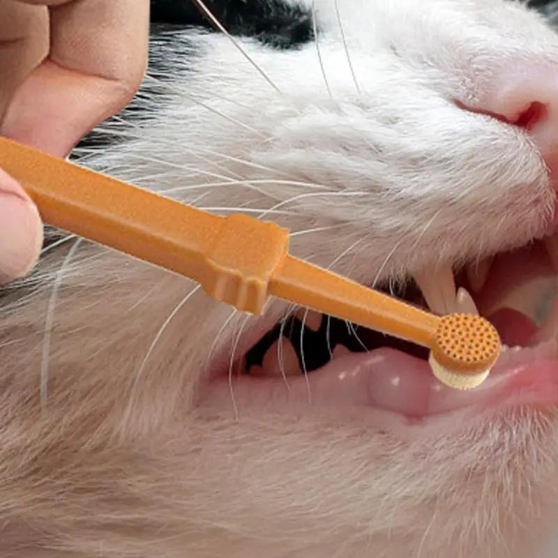 Pet Dogs Toothbrush Brush Silicone Soft Toothbrush Oral Care Puppy Toothbrush Toothpaste Pet Kit Teeth Cleaning Cat Care Supplie
