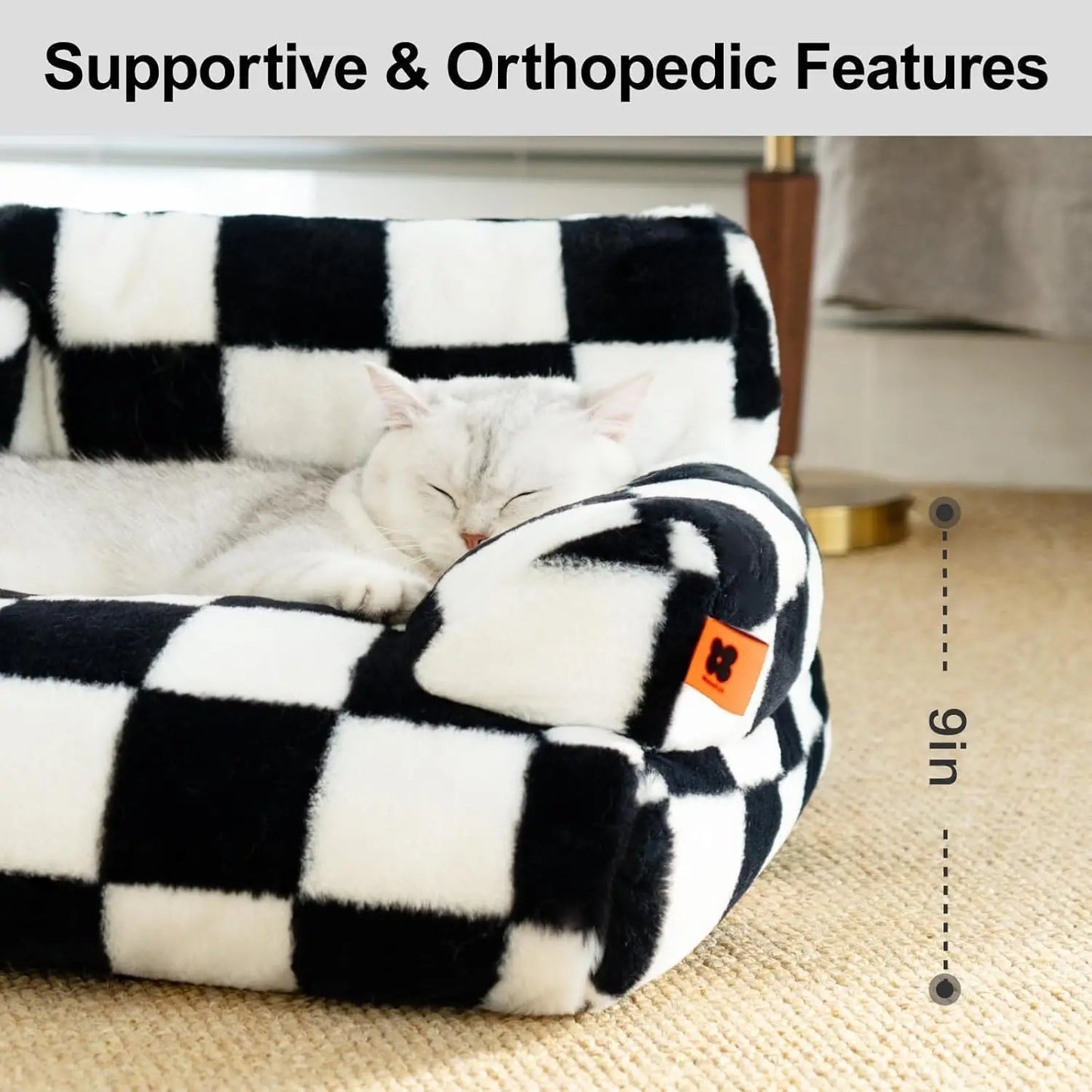 Pet Couch and Washable Bed