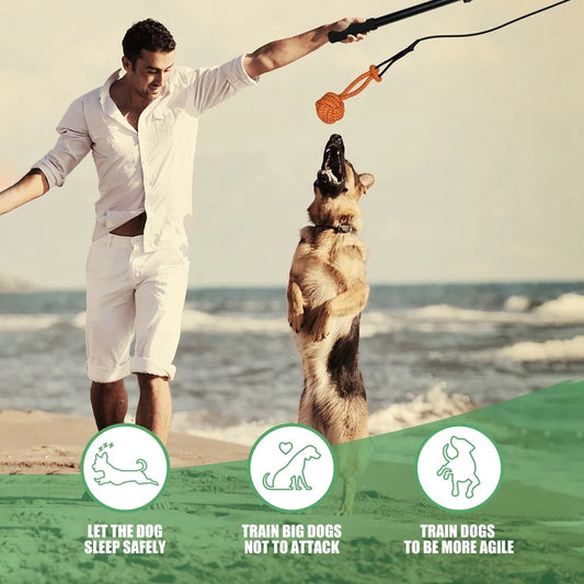 Interactive Extendable Chasing Chew Rope!  FUN!!!