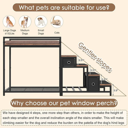 Pet Bunk Bed with Stairs and Storage