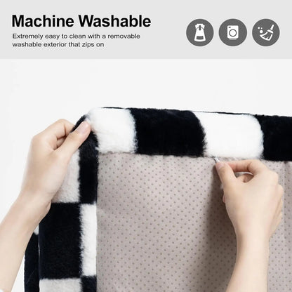 Pet Couch and Washable Bed